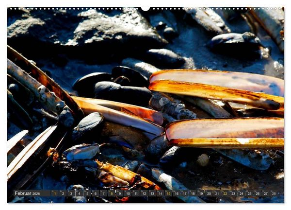 Produktbild: F&ouml;hr und Amrum - Spazierg&auml;nge am Meer (Wandkalender 2026 DIN A2 quer), CALVENDO Monatskalender