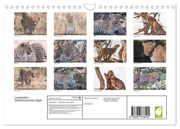 Produktbild: Leoparden - Geheimnisvolle J&auml;ger (Wandkalender 2026 DIN A4 quer), CALVENDO Monatskalender