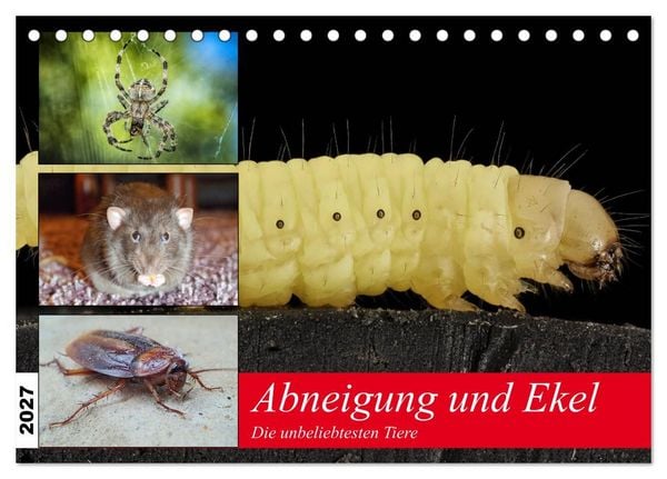 Produktbild: Abneigung und Ekel. Die unbeliebtesten Tiere (Tischkalender 2027 DIN A5 quer), CALVENDO Monatskalender