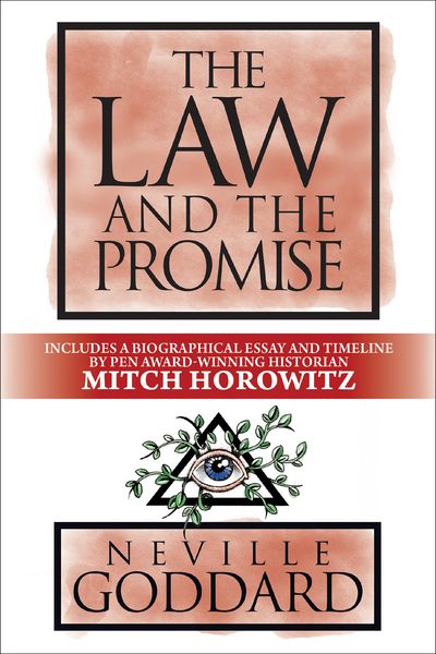 Produktbild: The Law and the Promise