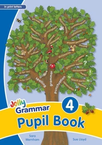 Produktbild: Grammar 4 Pupil Book