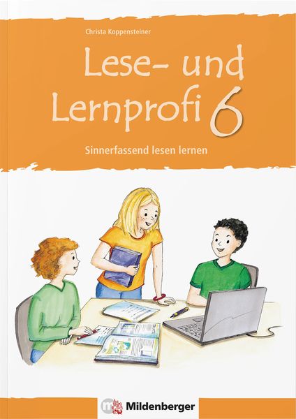 Lese- und Lernprofi 6