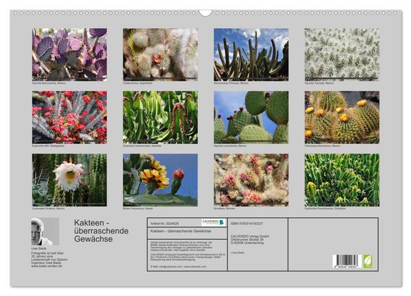Produktbild: Kakteen - &uuml;berraschende Gew&auml;chse (Wandkalender 2026 DIN A2 quer), CALVENDO Monatskalender