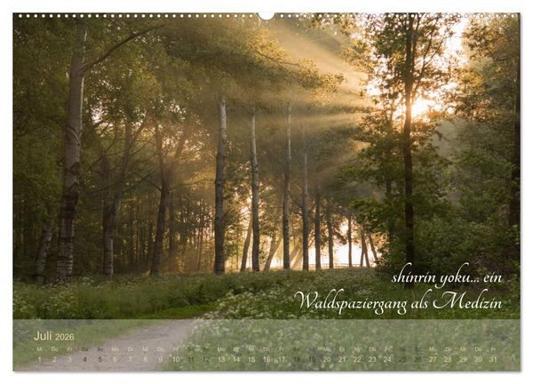 Produktbild: Shinrin yoku - Waldbaden 2026 (Wandkalender 2026 DIN A2 quer), CALVENDO Monatskalender