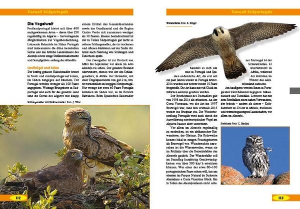 Produktbild: Costa Rica - Naturreisef&uuml;hrer