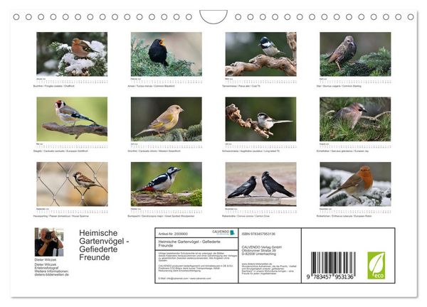 Produktbild: Heimische Gartenv&ouml;gel - Gefiederte Freunde (Wandkalender 2026 DIN A4 quer), CALVENDO Monatskalender
