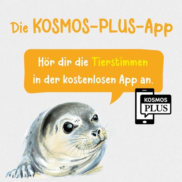 Produktbild: Was lebt an Strand und K&uuml;ste? Kindernaturf&uuml;hrer