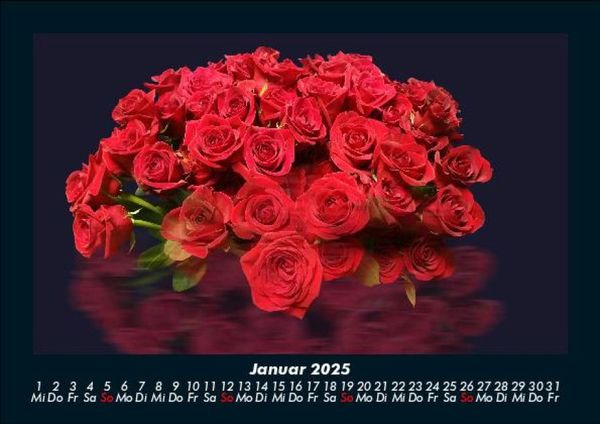 Produktbild: Rosen-Kalender 2025 Fotokalender DIN A5