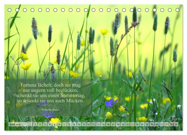Produktbild: Weises (Tischkalender 2026 DIN A5 quer), CALVENDO Monatskalender