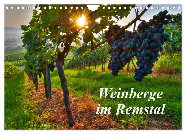 Weinberge im Remstal (Wandkalender 2026 DIN A4 quer), CALVENDO Monatskalender