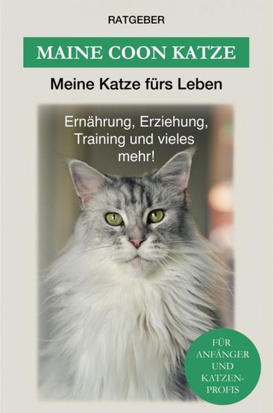 Produktbild: Maine Coon