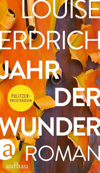 Produktbild: Jahr der Wunder