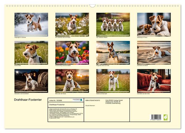 Produktbild: Drahthaar-Foxterrier (Wandkalender 2026 DIN A2 quer), CALVENDO Monatskalender