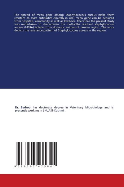 Produktbild: Molecular Characterization of Methicillin Resistant Staph. aureus