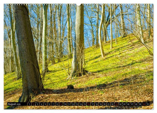 Produktbild: Jena und Umgebung - Von Jena bis Dornburg (Wandkalender 2026 DIN A2 quer), CALVENDO Monatskalender