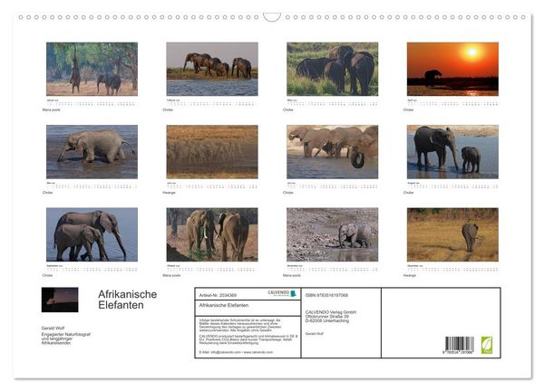 Produktbild: Afrikanische Elefanten (Wandkalender 2026 DIN A2 quer), CALVENDO Monatskalender