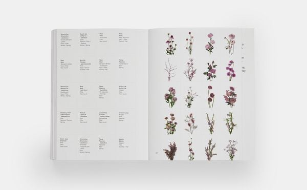Produktbild: Flower Colour Guide