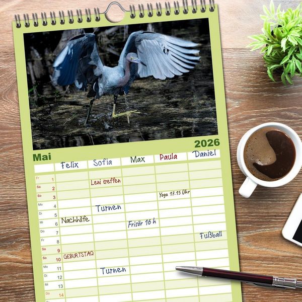 Produktbild: Familienplaner 2026 - Blaureiher und Dreifarbenreiher mit 5 Spalten (Wandkalender, 21 x 45 cm) CALVENDO