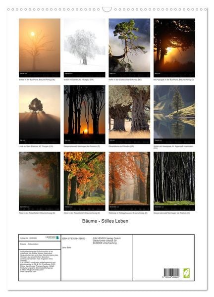 Produktbild: B&auml;ume - Stilles Leben (Wandkalender 2026 DIN A2 hoch), CALVENDO Monatskalender
