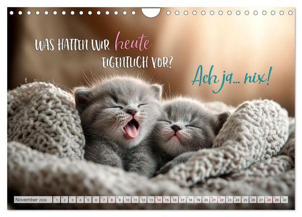 Produktbild: Ein tierisch gutes Jahr (Wandkalender 2026 DIN A4 quer), CALVENDO Monatskalender