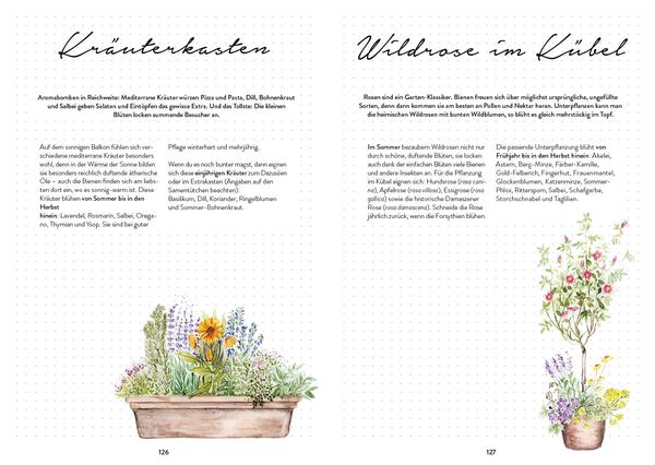 Produktbild: Bienengl&uuml;ck im Garten &ndash; Das illustrierte Gartenbuch