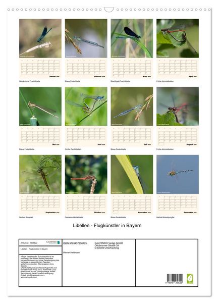Produktbild: Libellen - Flugk&uuml;nstler in Bayern (Wandkalender 2026 DIN A2 hoch), CALVENDO Monatskalender