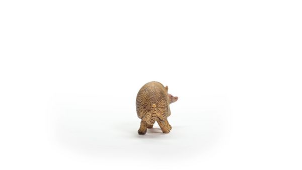 Produktbild: schleich&reg; 14874 G&uuml;rteltier