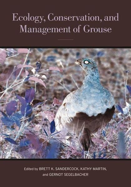 Produktbild: Ecology, Conservation, and Management of Grouse
