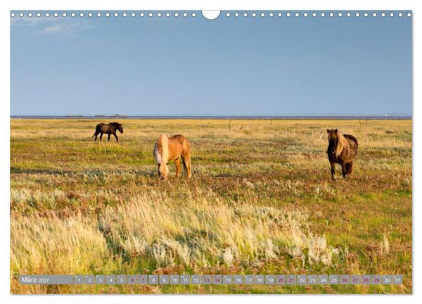 Produktbild: Ostfriesische Inseln (Wandkalender 2027 DIN A3 quer), CALVENDO Monatskalender
