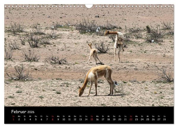 Produktbild: Traumziel Peru (Wandkalender 2026 DIN A3 quer), CALVENDO Monatskalender