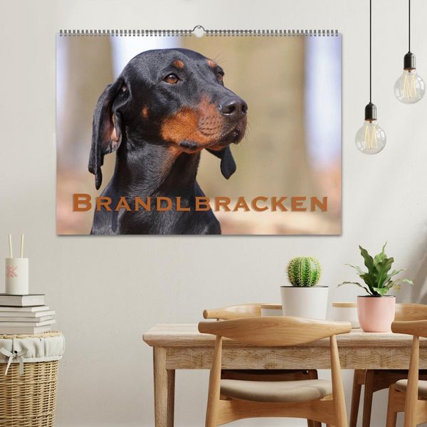 Produktbild: Brandlbracken (Wandkalender 2026 DIN A2 quer), CALVENDO Monatskalender