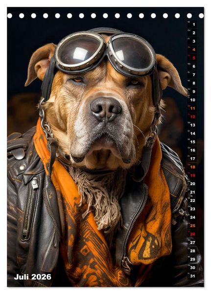 Produktbild: Stylische Hunde (Tischkalender 2026 DIN A5 hoch), CALVENDO Monatskalender