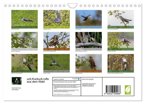 Produktbild: Kuckuck,Kuckuck,rufts aus dem Wald (Wandkalender 2026 DIN A4 quer), CALVENDO Monatskalender