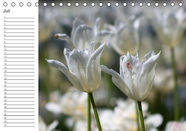 Produktbild: Ich denk an Dich ... Pers&ouml;nlicher Terminkalender (Tischkalender immerw&auml;hrend DIN A5 quer)