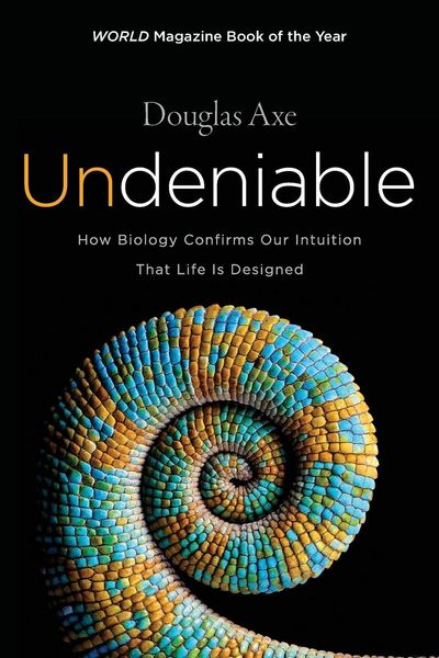 Produktbild: Undeniable