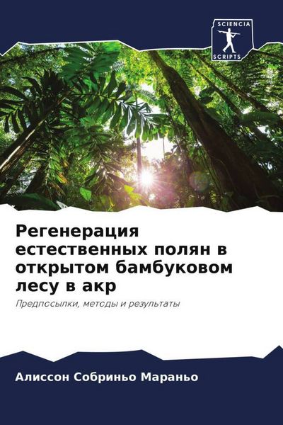 Produktbild: Regeneraciq estestwennyh polqn w otkrytom bambukowom lesu w akr