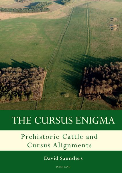 Produktbild: The Cursus Enigma