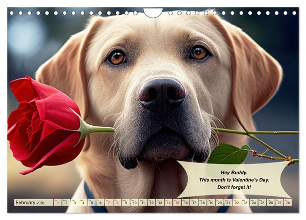 Produktbild: Great fun for Labrador lovers (Wall Calendar 2026 DIN A4 landscape), CALVENDO 12 Month Wall Calendar