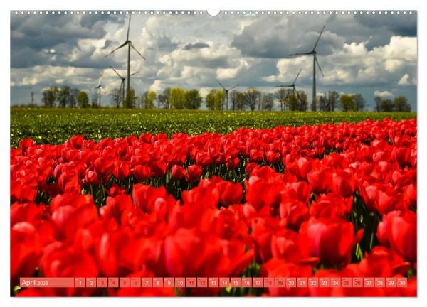 Produktbild: Romantischer Rhein-Kreis Neuss (hochwertiger Premium Wandkalender 2026 DIN A2 quer), Kunstdruck in Hochglanz