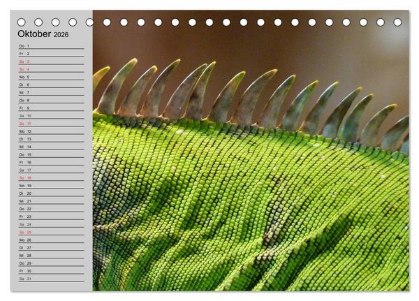 Produktbild: Kaltes Blut. Faszination Reptilien (Tischkalender 2026 DIN A5 quer), CALVENDO Monatskalender