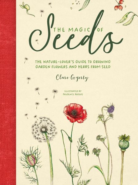 Produktbild: The Magic of Seeds
