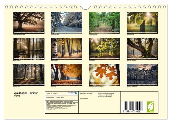 Produktbild: Waldbaden - Shinrin Yoku (Wandkalender 2026 DIN A4 quer), CALVENDO Monatskalender