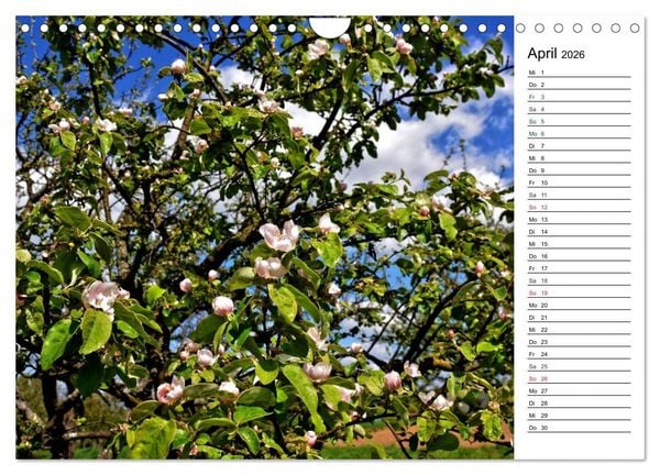 Produktbild: Landschaften des Kraichgaus (Wandkalender 2026 DIN A4 quer), CALVENDO Monatskalender