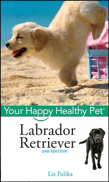 Produktbild: Labrador Retriever