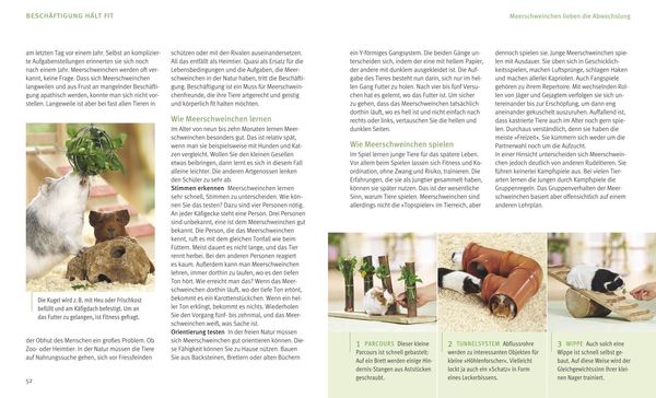 Produktbild: Meerschweinchen