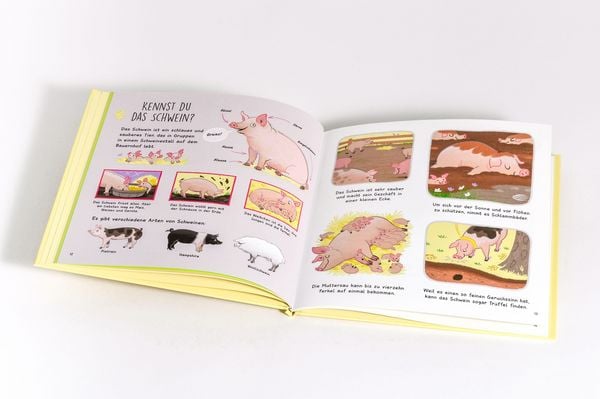 Produktbild: Kennst du die Tiere vom Bauernhof? - Sachbilderbuch f&uuml;r Kinder ab 3 Jahren