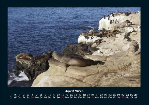 Produktbild: Seeblick 2025 Fotokalender DIN A4