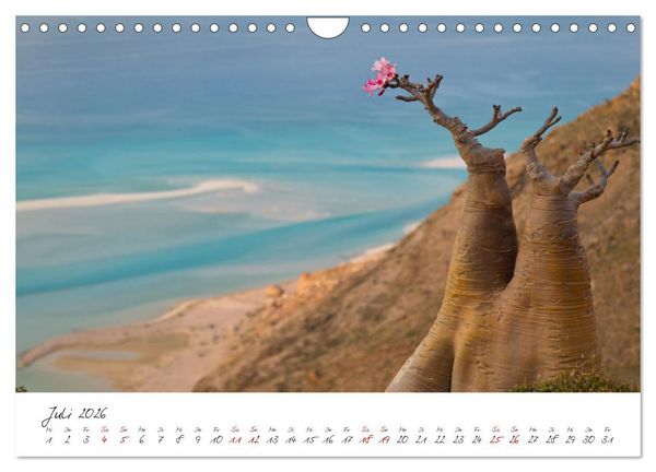 Produktbild: Socotra - Zauberhafte Insel (Wandkalender 2026 DIN A4 quer), CALVENDO Monatskalender