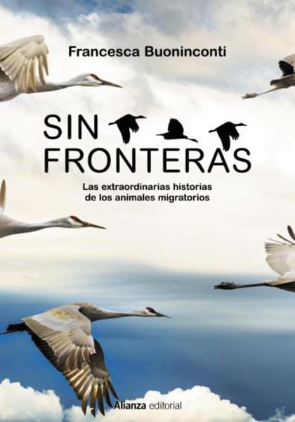 Produktbild: Sin fronteras