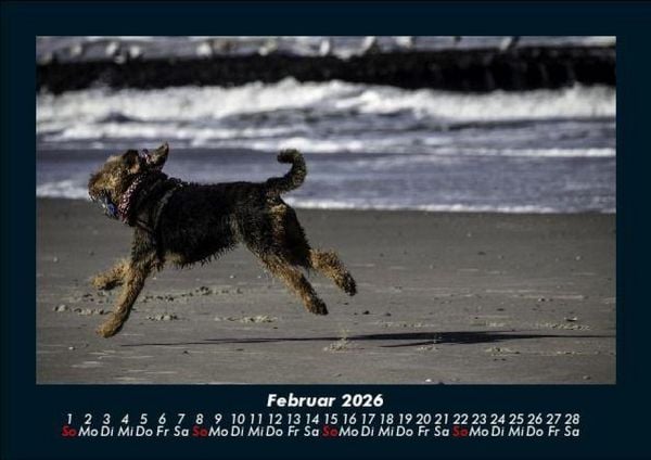 Produktbild: Hundezauber 2026 Fotokalender DIN A5
